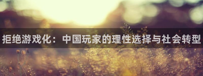 欧博娱乐手机网页版登录：拒绝游戏化：中国玩家的理性选择与社会