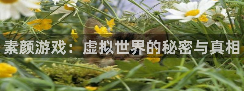 欧博娱乐升级5994月