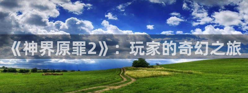 欧博娱乐2登录：《神界原罪2》：玩家的奇幻之旅