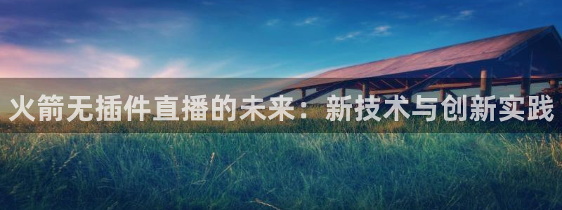 蓝鲸体育直播手机版下载：火箭无插件直播的未来：新技术与创新实践