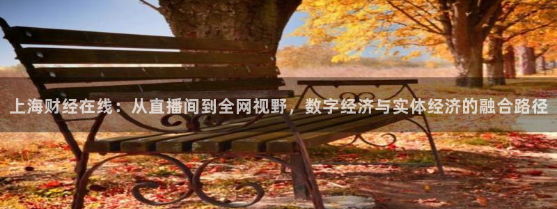 蓝鲸软件：上海财经在线：从直播间到全网视野，数字经济与实体经济的融合路径