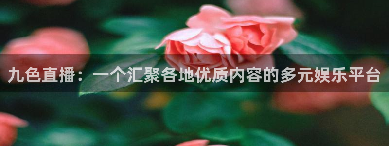 蓝鲸足球直播免费观看直播：九色直播：一个汇聚各地优质内容的多元娱乐平台
