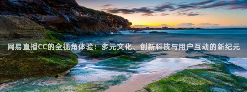 蓝鲸直播体育免费直播：网易直播CC的全视角体验：多元文化、创新科技与用户互动的新纪元