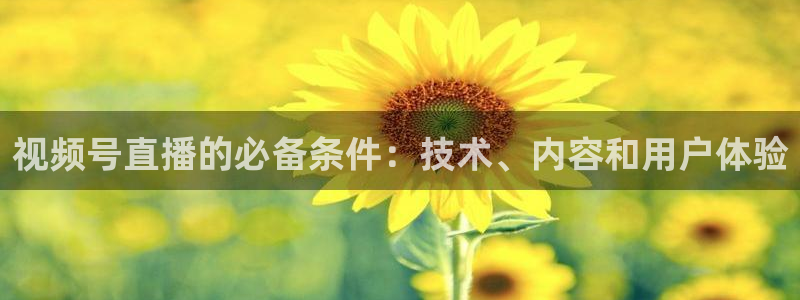 蓝鲸体育ufc直播