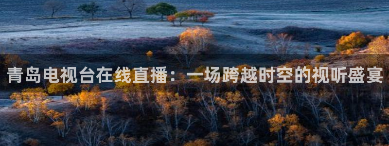 蓝鲸直播安卓：青岛电视台在线直播：一场跨越时空的视听盛宴