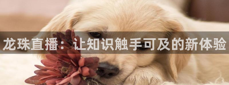蓝鲸体育在线足球直播：龙珠直播：让知识触手可及的新体验