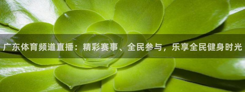 蓝鲸体育直播免费观看：广东体育频道直播：精彩赛事、全民参与，乐享全民健身时光