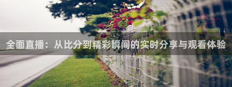 蓝鲸的视频：全面直播：从比分到精彩瞬间的实时分享与观看体验